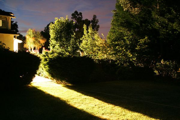 Front Garden Path of Light
Mots-clés: Whitecroft front garden path of light summer night exterior roses