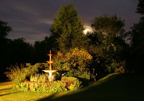 Whitecroft Swan Fountain with Full Moon Behind Trees
Palabras clave: Whitecroft swan fountain full moon garden night exterior