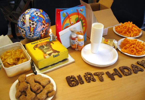 Basil's Birthday Treats
His own doggie-friendly birthday cake (with picture) from Lucies Farm, some of our doggie cookies --- and even some of our Haddock ice cream.
Keywords: Basil dog birthday cake Haddock ice cream dog cookies