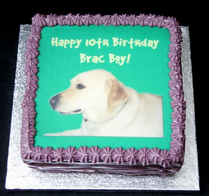Brac's Cake
Keywords: Brac, doggie birthday cake, birthday cake, dog presents, Lucies Farm