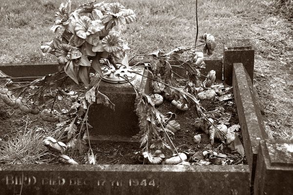 Bromsgrove Cemetery
A grave with plastic flowers.  They'd been there so long they were covered with mold and algae. May 2005
Λέξεις-κλειδιά: Bromsgrove Cemetery algae grave