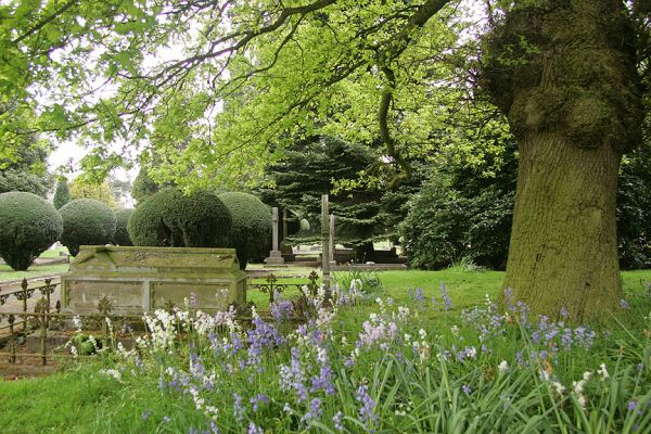 Bromsgrove Cemetery
Looking back, through the bluebells, to plots OLD-O-43 and OLD-O-44.  They're just on the other side of the bluebells in this photograph.
Keywords: Bromsgrove Cemetery