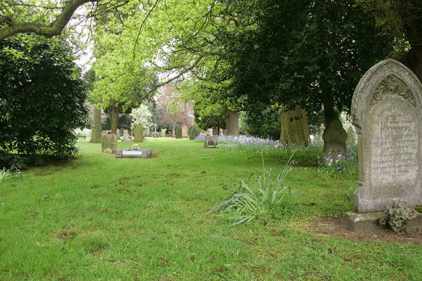 Bromsgrove Cemetery
Plots OLD-O-43 and OLD-O-44 are in the grassy area in the foreground, just to the left (in the photograph) of the vertical gravestone.  They are slightly to the left of the lone daffodil plant.
Keywords: Bromsgrove Cemetery
