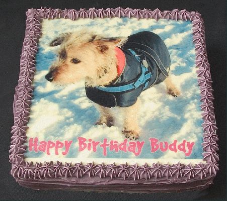 Buddy's Birthday Cake - June 3, 2004
