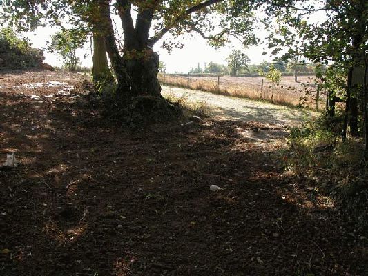 Trees at Entrance to Lord's Wood
Ключові слова: Lord's Wood