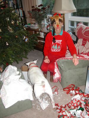 Christmas 2004
We have five visiting dogs for Christmas -- so we took a few minutes out, with Kiko, to open our presents.  Now to walk dogs, cuddle, give cookies, etc. --- the theme this year is Dogs.
Ключові слова: Christmas, Kiko