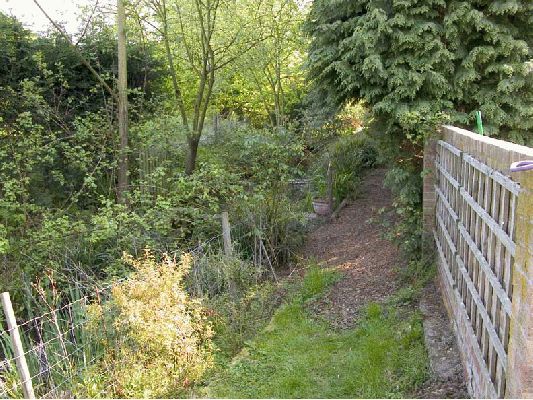 The Canal Path
A bit overgrown along what I call "the canal path," so this photo doesn't really show the water.  We had to put the temporary wire fence in (left of photograph) as the dogs kept going into the water and duck weed.  I took this photo to show the garden centre our empty trellis on the right.  We've had honeysuckle there (yuck), and roses that haven't grown well.  Marjorie wants a purple flower we've seen in our rambling.
Słowa kluczowe: Whitecroft, garden path, trellis, roses, honeysuckle