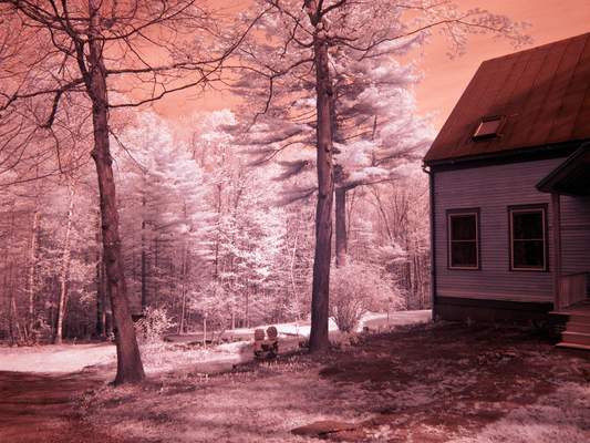 Stimpson Hill - Spring in Infrared
The lower garden, photographed with a Fuji FinePix infrared camera.
Ključne besede: Stimpson Hill infrared