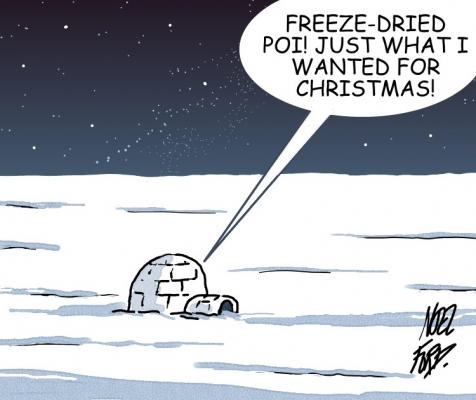 December 2001 Poi Company Cartoon
The release of our freeze-dried (not dehydrated) poi coincided with Christmas 2001.  A perfect theme for Noel Ford to create his monthly cartoon, used on The Poi Company invoices.
Keywords: igloo Eskimo freeze dried poi freeze-dried poi cold winter ice snow