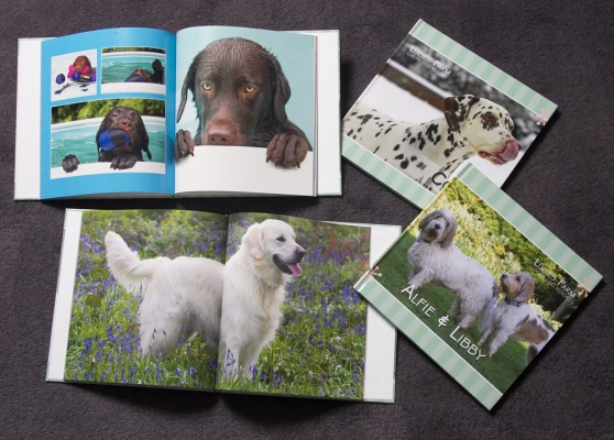Our New Dog Photo Album
We just received the first four dog photo albums from the manufacturer in the States (Oregon).  These are really high-quality books:  something you'd be proud to put on your coffee table.  They can be ordered online in [url=http://www.luciesfarm.co.uk/acatalog/Luxury_Dog_Hotel_Gift_Shop.html]our gift shop[/url].
Schlüsselwörter: dog photo album Asukabook coffee table book dog hotel gift shop George JayJay Cookie Alf Libbie