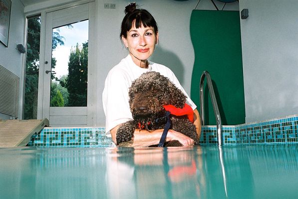 Elvis and Marjorie in the Pool
Water temperature just about 90 degrees, and Elvis in his doggie life preserver, but not quite ready for a swim.
Keywords: Elvis swimming dog warm water Lucies Farm canine hydrotherapy