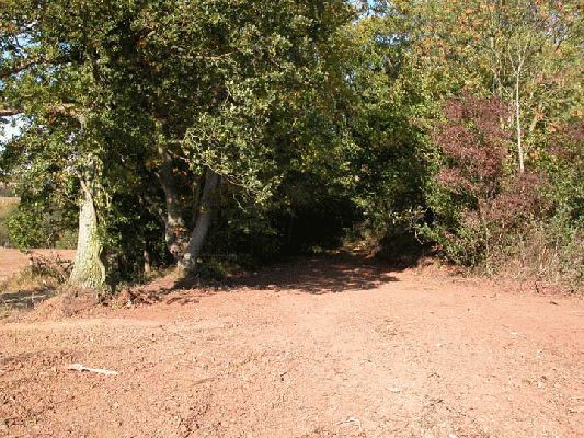 Entrance to Lord's Wood
