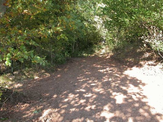 Entrance to Lord's Wood
Ključne besede: Lord's Wood green burial