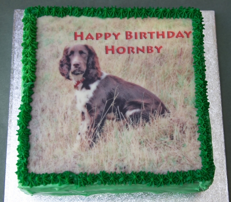 Hornby's Birthday Cake
Keywords: Hornby dog birthday cake