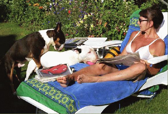 Kiko, Tapa & Marjorie in the Garden
Whitecroft - Summer 2003.  Marjorie in the garden trying to relax, but the dogs are having none of it.  The [url=http://www.sedo.com/search/details.php4?domain=dogshumping.com&partnerid=14456&tracked=&partnerid=&language=e]www.dogshumping.com[/url] domain is for sale.  It would make an unusual gift.
Ключові слова: dogs humping garden Whitecroft Marjorie