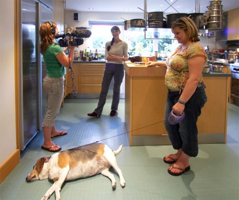 Hattie in the Whitecroft Kitchen
Marjorie was showing Lou, Cathy (behind the camera) and Hattie (asleep on the floor) what Hattie would be eating during her stay at Lucies Farm.
Trefwoorden: Cathy Durbin Lou Hattie kitchen Marjorie