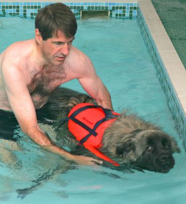 Oscar Having A Swim
Supported by Paul.
Palabras clave: Oscar Paul canine hydrotherapy dog swimming Ritz Canine Lucies Farm