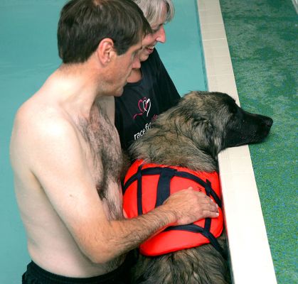 Oscar Having A Rest
Oscar is tall enough to actually stand with his back legs on the bottom of the pool, and his front legs on the pool edge.  Like one of those swim-up bars in Barbados!
Ključne besede: Oscar Paul Dorothy canine hydrotherapy dog swim Lucies Farm Ritz Canine Barbados