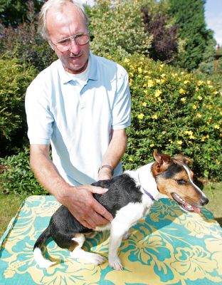 Vic Giving Jake a Massage
Peaceful, quiet late summer morning in Worcestershire.
Ключові слова: Jake Jack Russell dog massage canine massage Vic Worcestershire Lucies Farm Ritz Canine