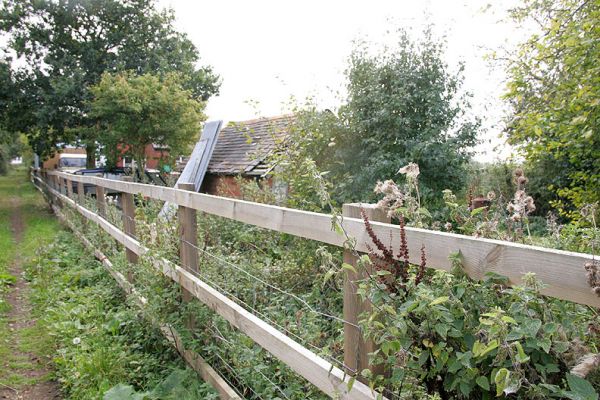 Back of Lord's Wood Cottage
Photographed from the back of Lord's Wood Cottage, looking towards the south.  The brick chicken coop is shown in the centre of the photograph, with the metal leaning on it.
Słowa kluczowe: Lord's Wood Cottage Thomas Hawkins Victorian chicken coop fence
