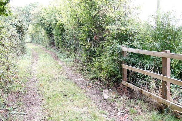 Track by Lord's Wood Cottage
This photograph shows how the tyre tracks bend to the east because the post-and-rail fence has been installed too far to the east.  This is looking southward down the track, towards the road.  Lord's Wood is at my back.
Mots-clés: track Lord's Wood Cottage