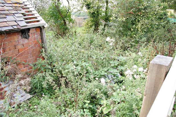 Looking Over The Fence, Lord's Wood Cottage
The brick chicken coop on the left.  This photograph is taken looking towards the North-West.  The post and rail fence is in the foreground, the clump of trees in the centre of the photograph are where the fence was previously located.
Ключові слова: Lord's Wood cottage chicken coop fence