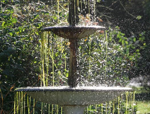 Fountain in Whitecroft Garden
An autumn afternoon --- with a bit of sun (didn't last for long) --- 30 Oct 2005.
Anahtar kelimeler: fountain Whitecroft garden sun autumn