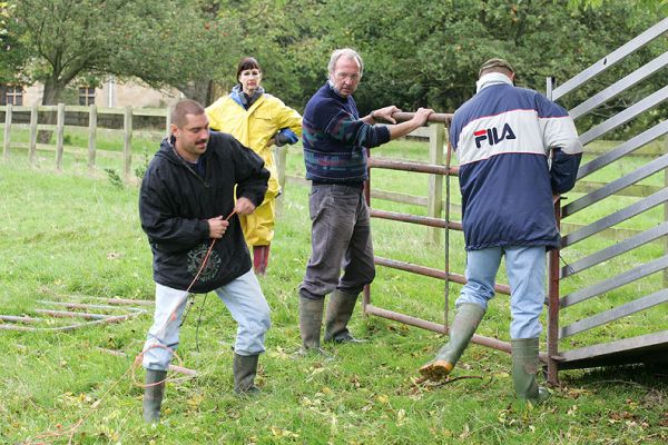 Zbig, Marjorie, Vic and Greg Assembling the Fence
Creating a temporary "pen" to round up, successfully this time, UK302940200038 at Bredons Norton.
الكلمات الإستدلالية(لتسهيل البحث): Zbig Marjorie Vic Greg pen Bredons Norton pen Highland cattle round-up