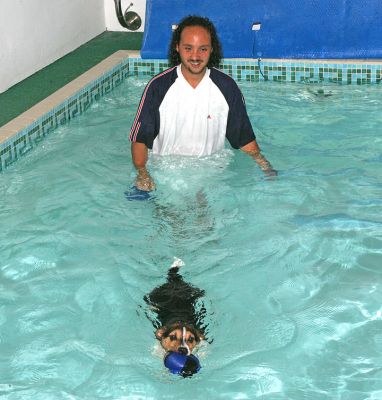 Chad and Jake in the Pool
Jake really showed an interest in the blue floating toy, and (as long as it wasn't too far away) he'd quite happily jump in the pool to fetch it.
Ключови думи: Chad Jake Jack Russell swimming dog canine hydrotherapy Ritz Canine