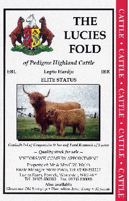 Three Counties Agricultural Show Ad - 1997
In cleaning up some old paperwork, I found this colour proof of our advertisement in the 1997 issue of the Three Counties Agricultural Show programme.  I am now on the quest to find the original of this photograph of Lord Rannoch with his mother.
الكلمات الإستدلالية(لتسهيل البحث): Rannoch Three Counties bull semen