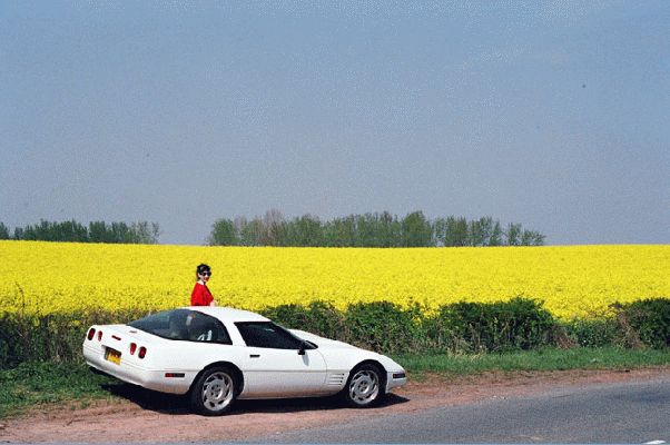 Marjorie, Corvette & Field of Rape
On our way back from the Severn Bore, spring 2003
Ключови думи: rape Whitecroft Corvette