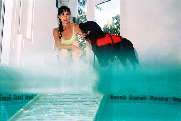 Max Thinking About The Pool
You know when you put a straw in a glass of water it looks like the straw bends?  That's because water acts a bit like a magnifying glass and enlarges things.  This is a shot of Max and Marjorie at the top of the ramp, with the ramp (looking very large) underwater.
Keywords: pet ramp PetRamp Marjorie Max swimming pool canine hydrotherapy dog swimming Lucies Farm