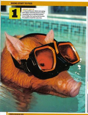 Swimming Pigs - Maxim Magazine, January 05
Our accountant sent us this photograph from [i]Maxim[/i] magazine showing one of our Tamworth pigs having a nice swim in the pool.
Keywords: Maxim Magazine swimming pig Tamworth pig goggles pool party