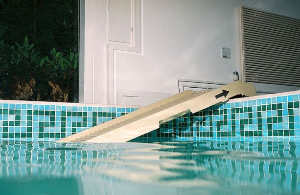 PetSTEP Pet Ramp
This secure pet ramp has been modified by the manufacturer with special pool legs.  The ramp offers a non-slip, gradual incline for dogs to leave the pool.
Keywords: PetSTEP pet ramp dog swimming dog pool Lucies Farm