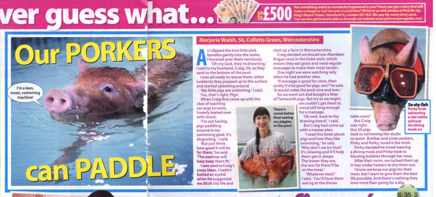 [i]Pick Me Up[/i] Magazine -- March 30 2006
When the journalist called from [i]Pick Me Up[/i] magazine, I thought she was joking.  But it's a women's magazine with quite a large circulation.  They did a "cute" story about Marjorie swimming with the Tamworth pigs.
Ключові слова: Marjorie swimming pig Tamworth pigs hoggles Pick Me Up magazine article
