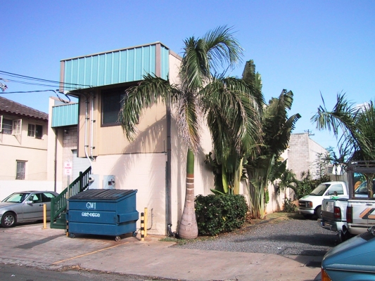 The Poi Company Factory and Garden
The factory (at 749 Kopke Street) and the "garden" parking lot at 745 Kopke Street.  The garden we planted was really starting to grow at this stage.
Mots-clés: Poi Company garden 749 Kopke Street 745 Kopke Street palm trees