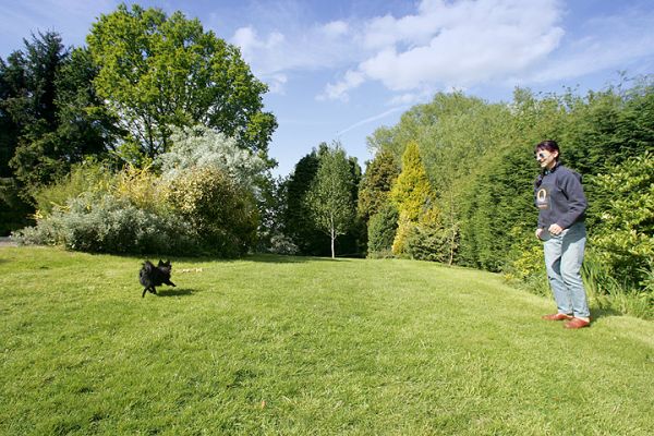 Pom Pom on His Walk in the Garden
That's Marjorie on the right, Pom Pom on the left.
Schlüsselwörter: Pom Pom Pomeranian dog walk garden spring Marjorie dog kennel dog boarding Lucies Farm
