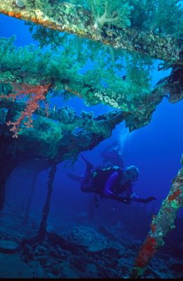Marjorie and I on a Wreck Dive
In the Red Sea, off of Egypt, 1996.
Schlüsselwörter: Marjorie Craig wreck dive SCUBA Red Sea Egypt