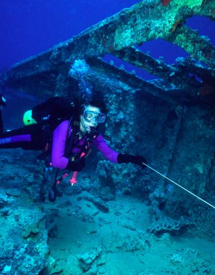 Marjorie Doing Her Underwater Navigation Test
On a wrecked barge in the Red Sea, near Egypt, late 1996.
Palabras clave: Marjorie SCUBA underwater navigation test Red Sea
