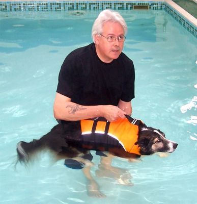 Sam
Sam's second pool session -- complicated by a reporter and cameraman from Central TV (just off to the right of this photograph).
Λέξεις-κλειδιά: Sam Central TV swimming dog canine hydrotherapy