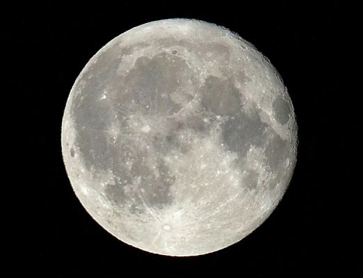 Full Moon - July 11 2006
I took this photograph from the living room door of Whitecroft, looking out over the front garden.  A beautiful summer evening, not too warm --- and not raining.
Keywords: Whitecroft full moon summer evening garden