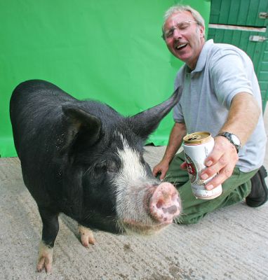 Westbrook and Vic Enjoying A Laugh Together
... and a beer.
Keywords: Westbrook Berkshire pig Vic Stella Artois beer pork kurobuta Lucies Farm