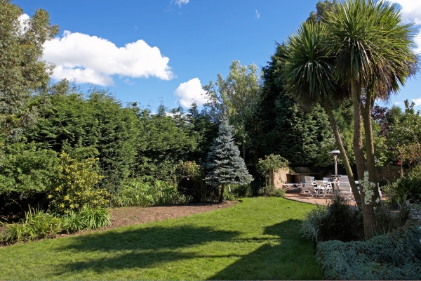 The Back Garden at Whitecroft
Larysa has worked very hard in clearing up this part of the Whitecroft garden, and in making our Christmas tree look like a Christmas tree again.  It's great to finally see blue skies and have some summer weather.
Anahtar kelimeler: Christmas tree Larysa garden blue sky blue skies summer sunshine