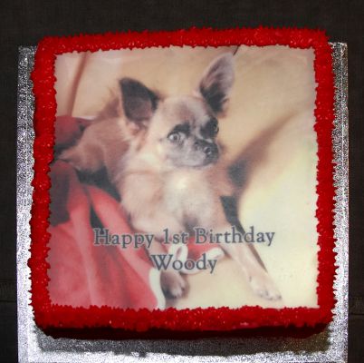 Woody's Birthday Cake
November 18 2006
Ključne besede: dog birthday cake Woody cake chihuahua minature small red