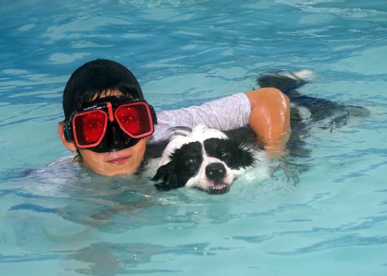 Oh, this is just my new friend trying to look cool
Λέξεις-κλειδιά: Tess Border Collie Ross