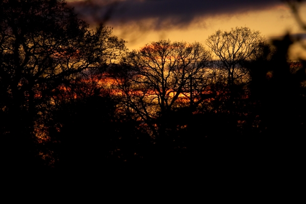 Sunset from our Bedroom Window
I was sitting at my desk on Easter Monday when I looked up and saw the most gorgeous sunset.  I got the camera and slowly hobbled up the stairs, and took this photograph from the window just over our bed.  It shows the view over our neighbour's back yard, looking towards the Malvern Hills.  (Pity about the electrical wires in the distance.)
Schlüsselwörter: Whitecroft sunset Malvern Hills