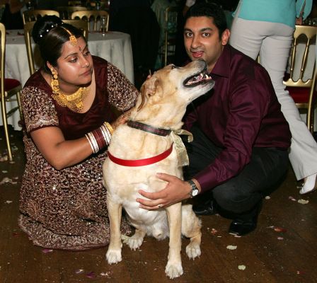 Zac at the Wedding Reception
Bristol, August 27 2005
Anahtar kelimeler: Zac wedding reception Raj Bristol dog delivery Lucies Farm dog kennel dog boarding