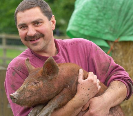 Zbig With A Tamworth Piglet
Born March 29, 2006, this little girl is almost two months old.  She's off to a good home where she will be a pet.
Trefwoorden: Zbig Tamworth pig mud pet