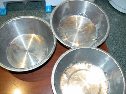 After Dinner at Lucies Farm
No, we haven't washed them yet.  This is what the bowls look like after dinner (and breakfast . . ) at the Lucies Farm Luxury Dog Resort.
الكلمات الإستدلالية(لتسهيل البحث): dog food, dog bowl, bowl, Lucies Farm, dog resort
