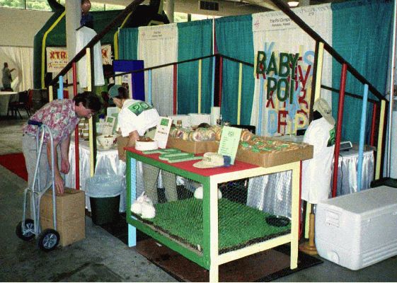 Baby Expo Poi Booth
All the trouble to get baby rabbits (we rented them).  Put them on beautiful fresh green turf.  And all they did was sleep.
